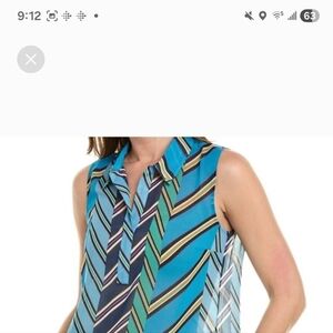 CAbi Blue and Green Chevron Blouse